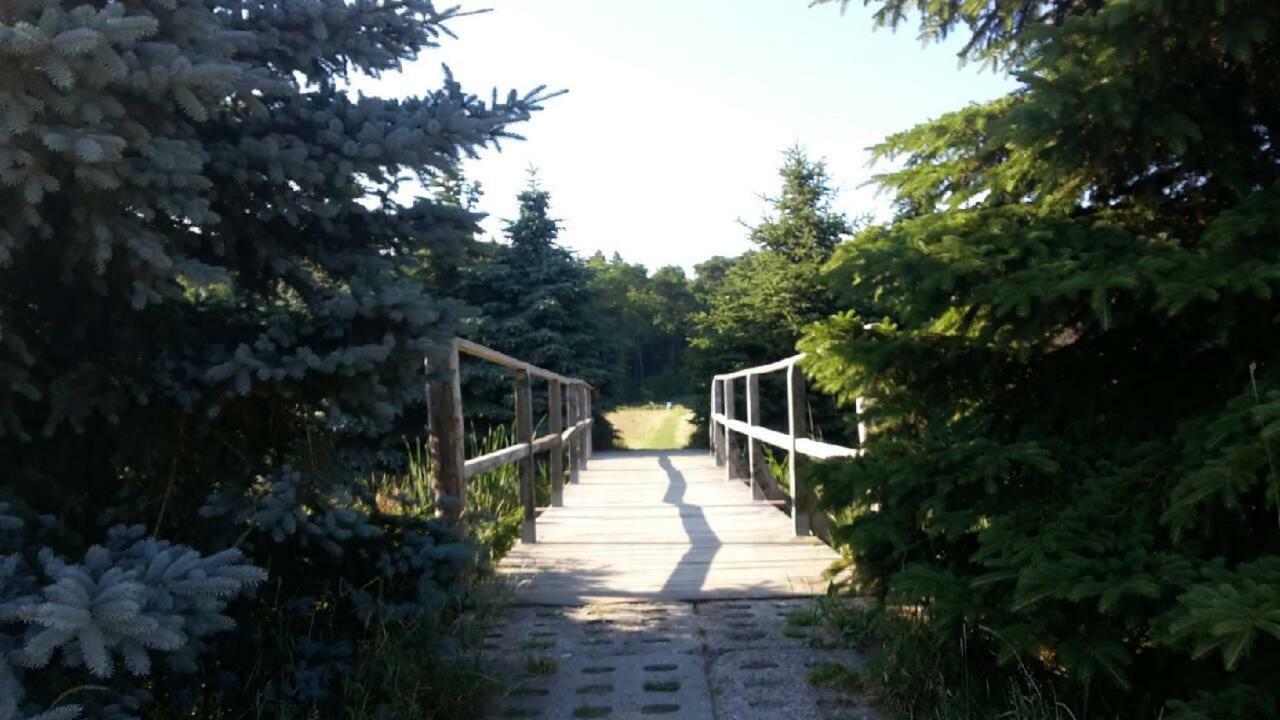 فيلا Rivendell Mielno ميلنو المظهر الخارجي الصورة